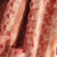 多肉龙骨4.5一斤