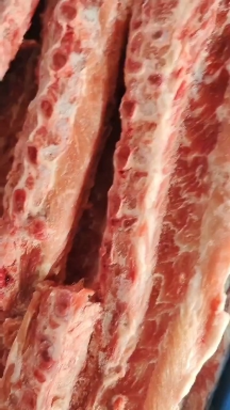 多肉龙骨4.5一斤