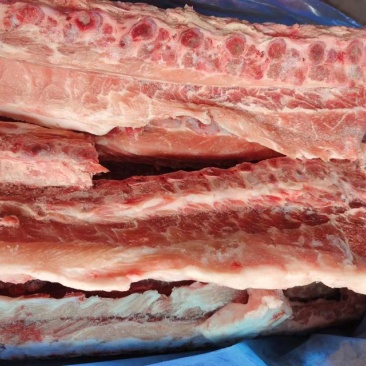多肉龙骨4.5一斤
