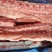 多肉龙骨4.5一斤