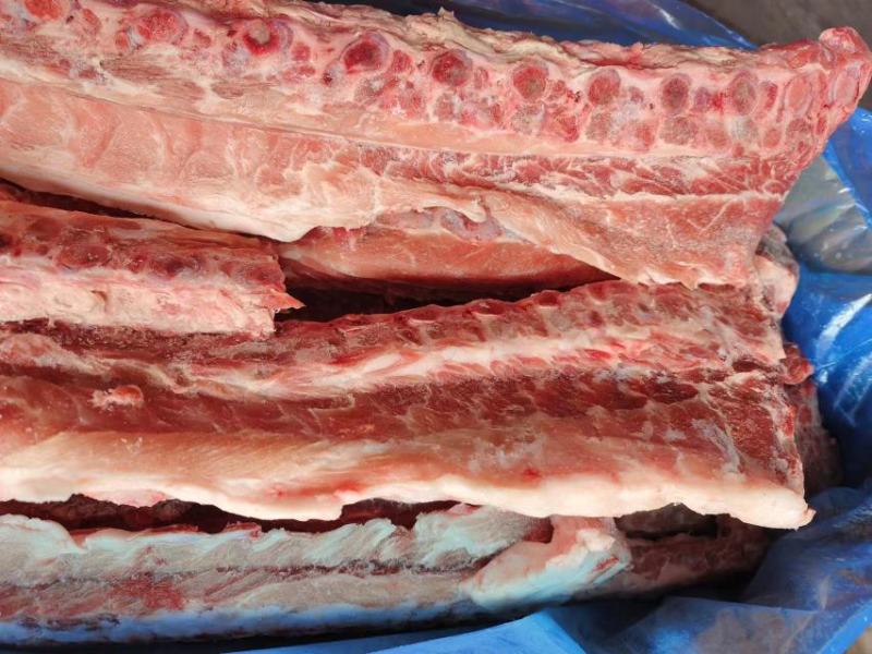 多肉龙骨4.5一斤