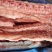 多肉龙骨4.5一斤