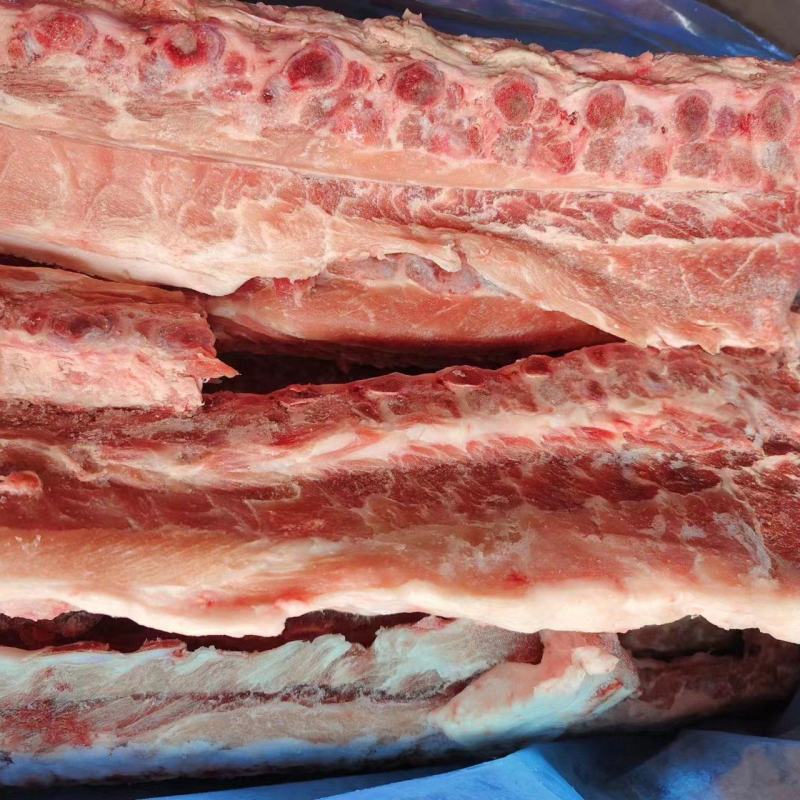 多肉龙骨4.5一斤