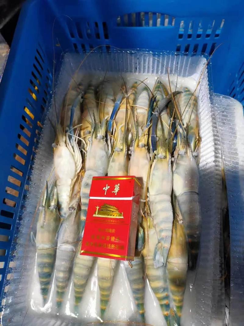 罗氏虾淡水虾王金钱虾万氏对虾淡水长臂大泰国大虾