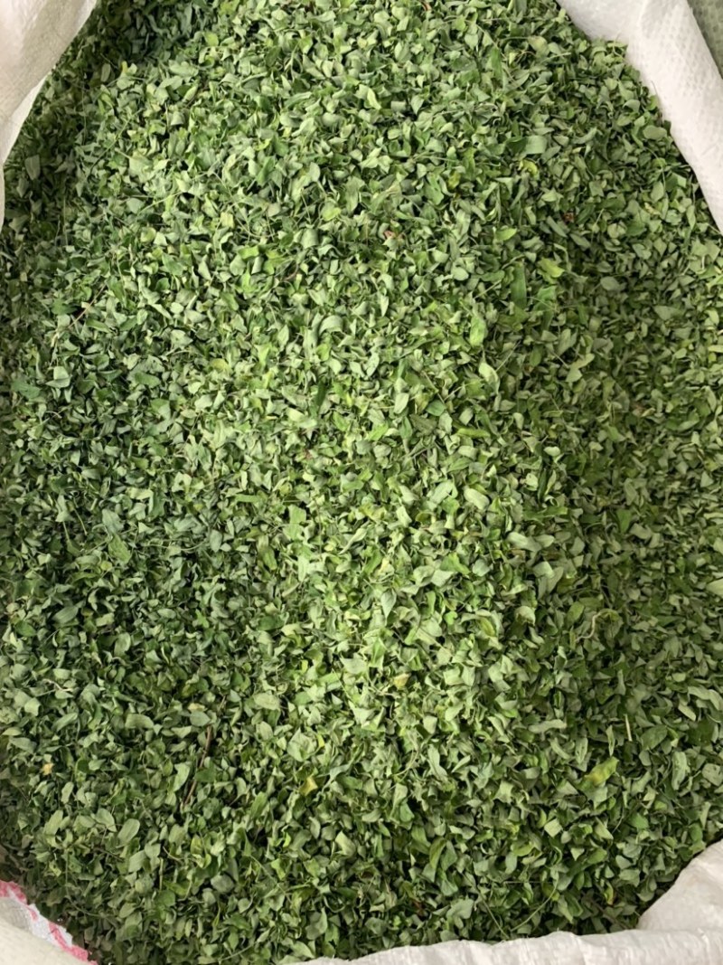 鸡骨草叶相思叶新货甜叶鸡骨草广西鸡骨草叶纯叶中草批发