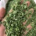 鸡骨草叶相思叶新货甜叶鸡骨草广西鸡骨草叶纯叶中草批发