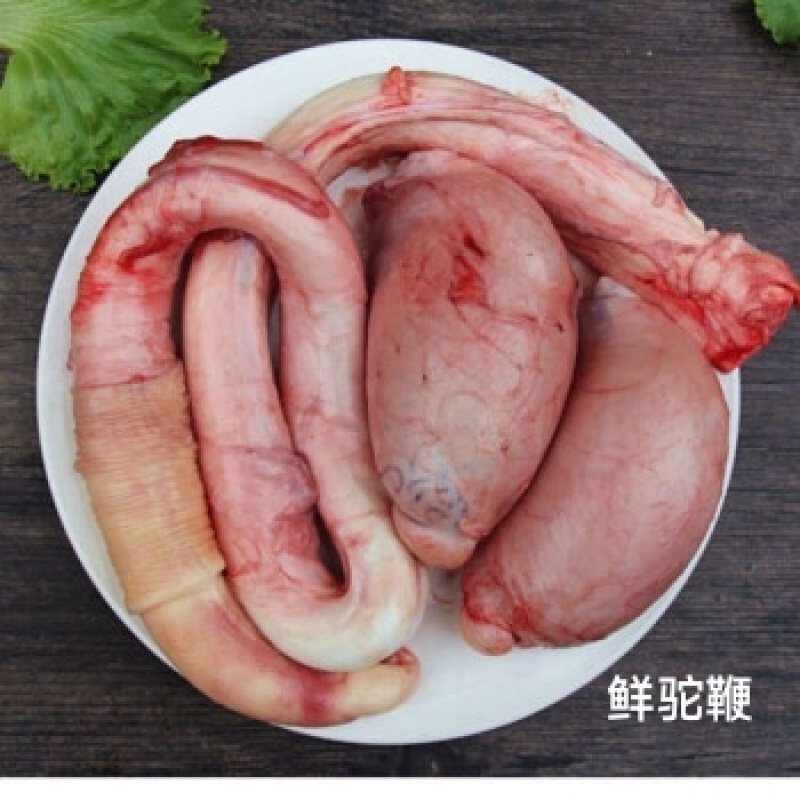 驼鞭1套包邮现宰草原野生放养骆驼牧场源头发货
