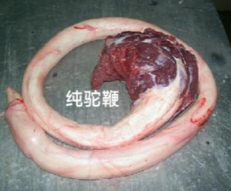 驼鞭1套包邮现宰草原野生放养骆驼牧场源头发货