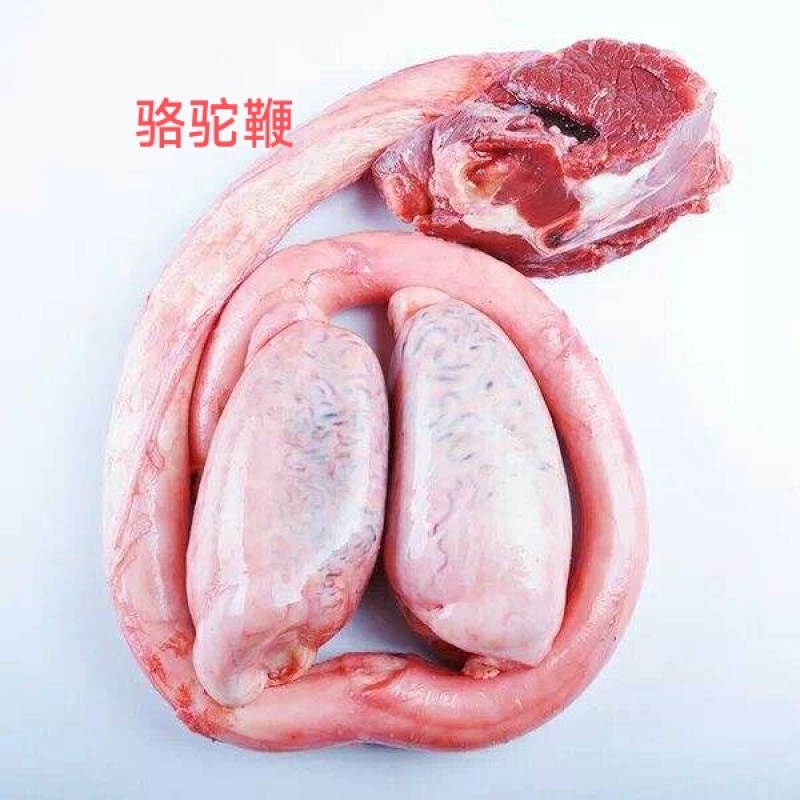 驼鞭1套包邮现宰草原野生放养骆驼牧场源头发货