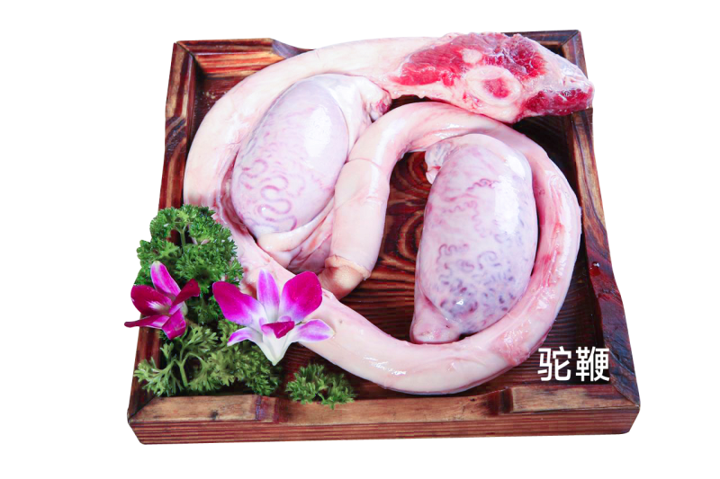 驼鞭1套包邮现宰草原野生放养骆驼牧场源头发货