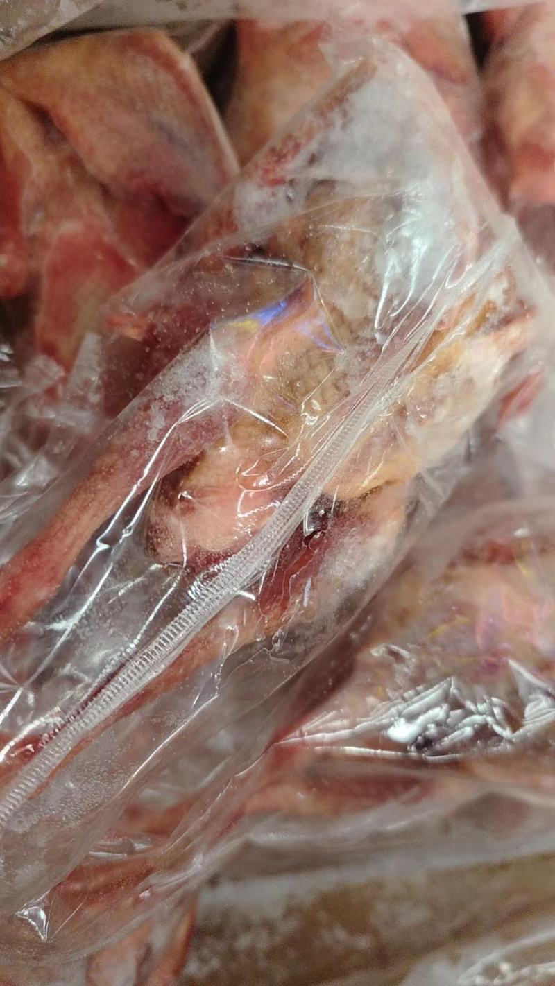 乳鸽，乳鸽肉，冻货鲜货一手货源，产地直发，各种规格