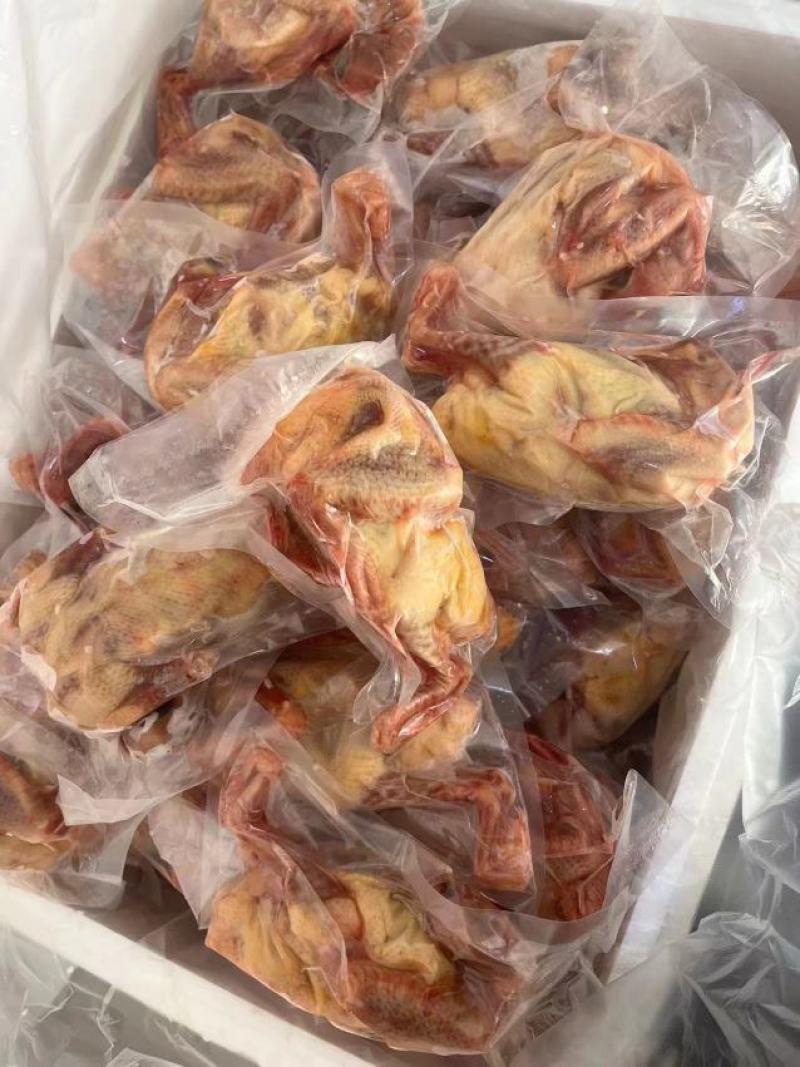 乳鸽，乳鸽肉，冻货鲜货一手货源，产地直发，各种规格