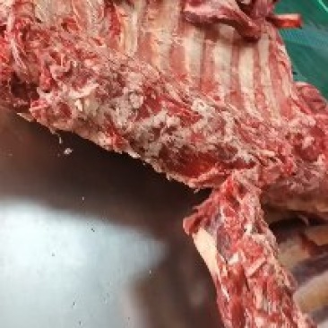 牛肉牛排牛腩，源头直供，支持全国各地发货