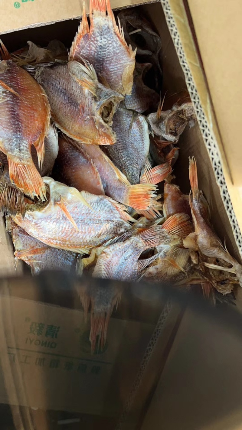 加洲鲈鱼干，海鲈干，鱼条，淡水鱼干，摆地摊跑江湖货源8元
