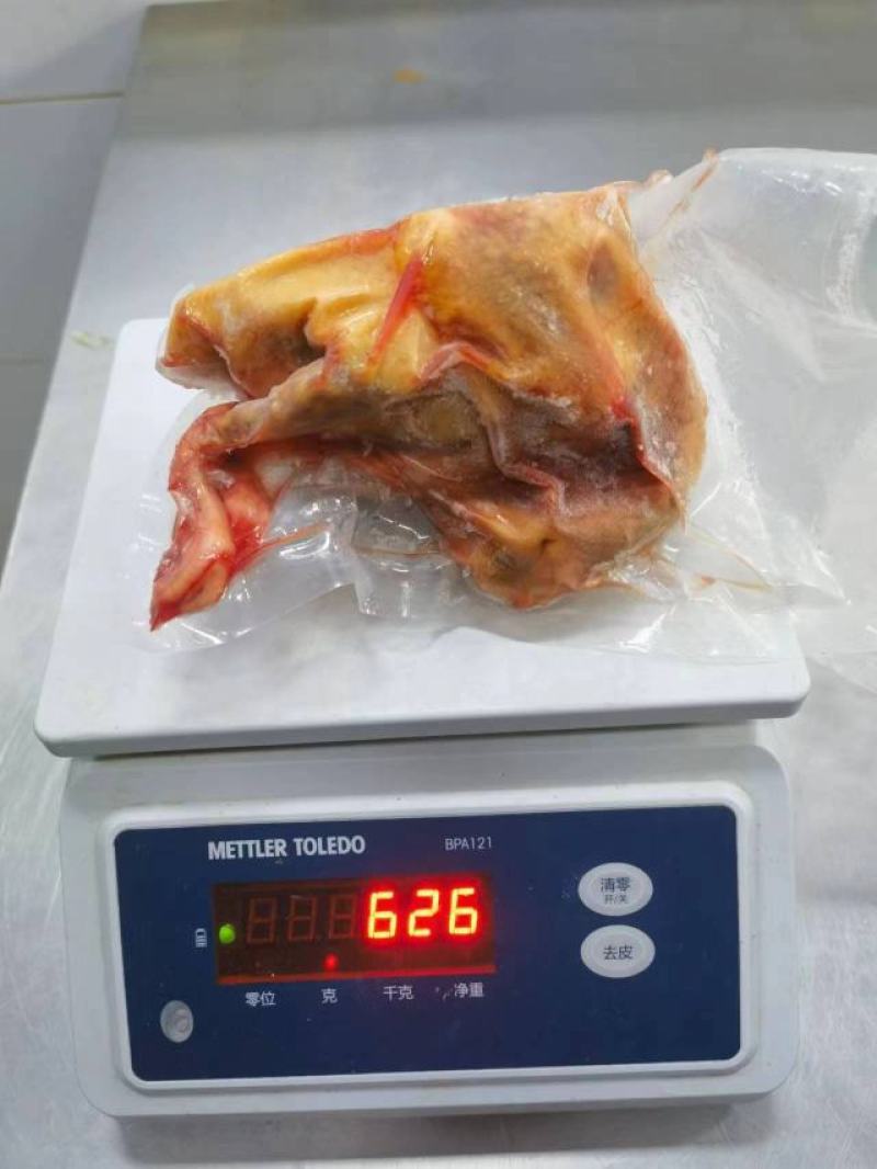 乳鸽，乳鸽肉，质量保证，产地直发，常年供应