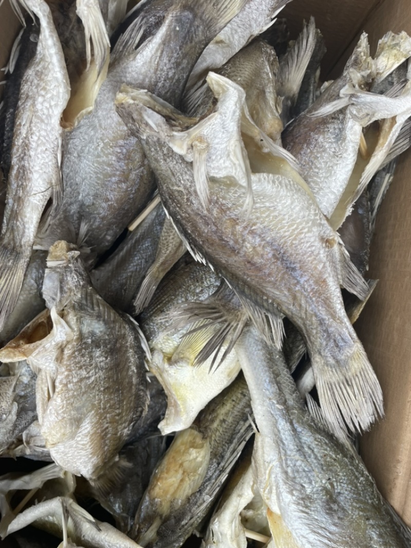 摆地摊跑江湖海鱼干8块，海鲈鱼干，加洲鲈鱼干，草鱼干，