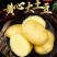 【实力供货】大量供应黄皮黄心土豆货源充足需要联系