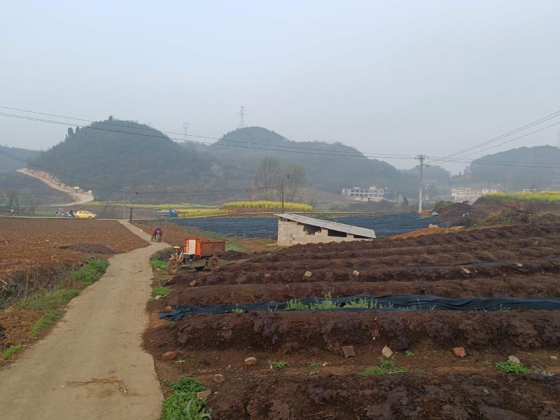 大量蚯蚓粪，蚯蚓出售。欢迎来实地考察。