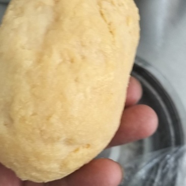 鸡宝