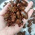 爬叉，知了猴，金蝉，鲜货，现货，