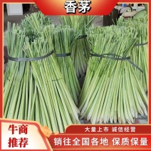 香茅草：柠檬香茅食用香料绿色保健、护肤，基地直供欢迎订购。