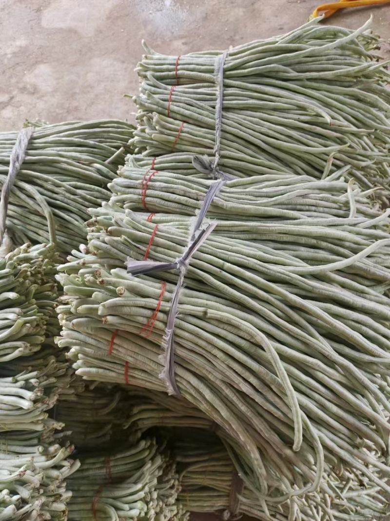 广西南宁横县豆角白豆角长豆角大量上市。欢迎全国各地老板