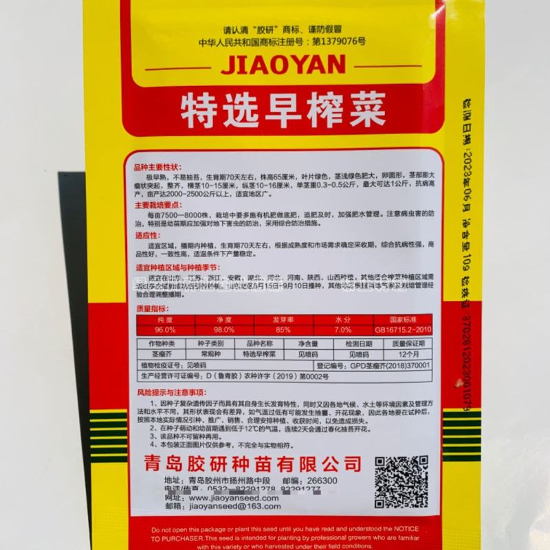 胶研特选早榨菜种子特早熟不易抽苔北方秋季芥菜疙瘩种子