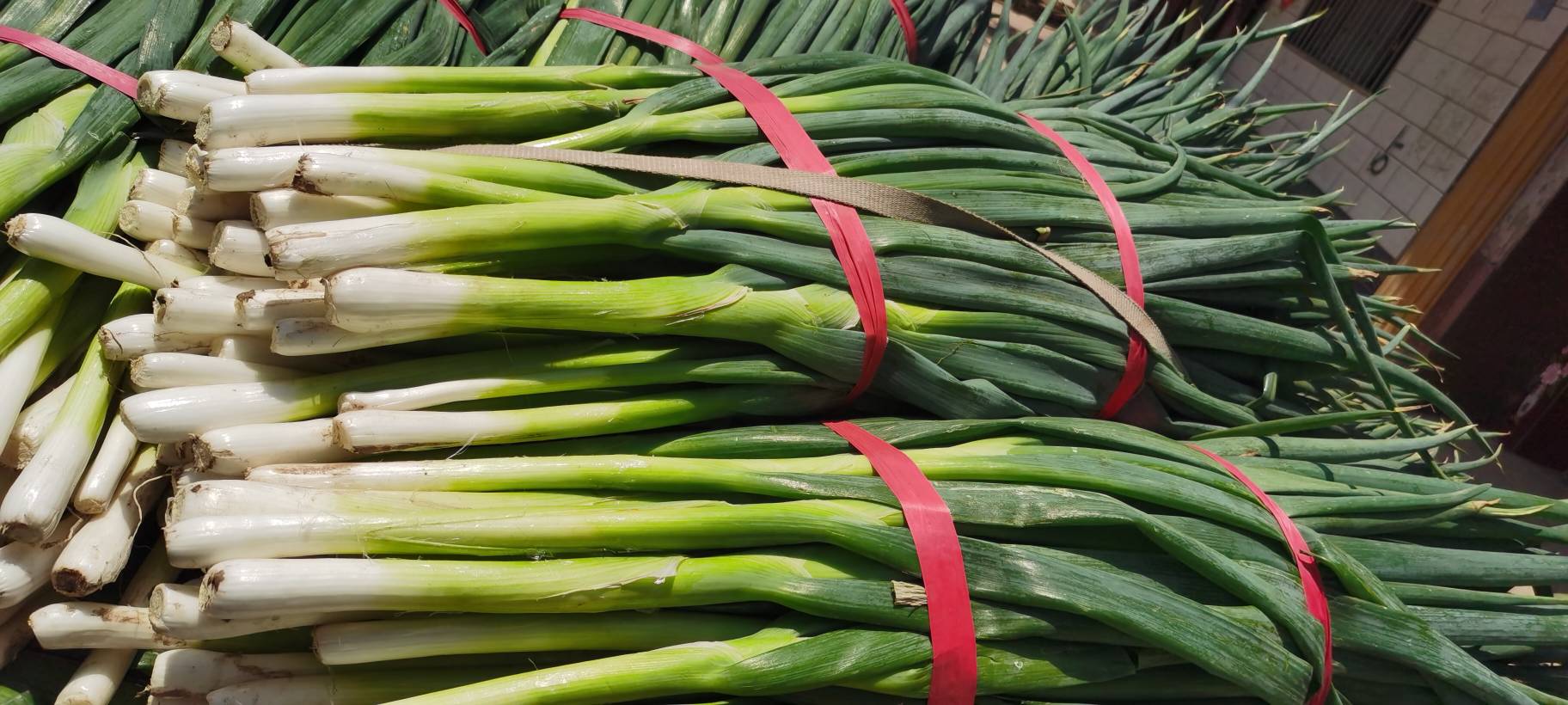 香葱批发市场场景