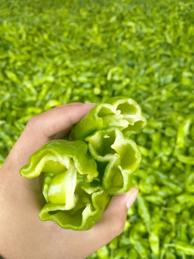 新鲜辣椒，一手货源产地直发，货源充足，欢迎大家前来订购！