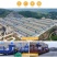 中杂米桂朝米米粉米线专用米泡粑米厂家直销