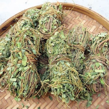 广西鸡骨草野生鸡骨草叶干货中草药中药材泡茶煲汤料新鲜无硫