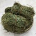 广西鸡骨草野生鸡骨草叶干货中草药中药材泡茶煲汤料新鲜无硫