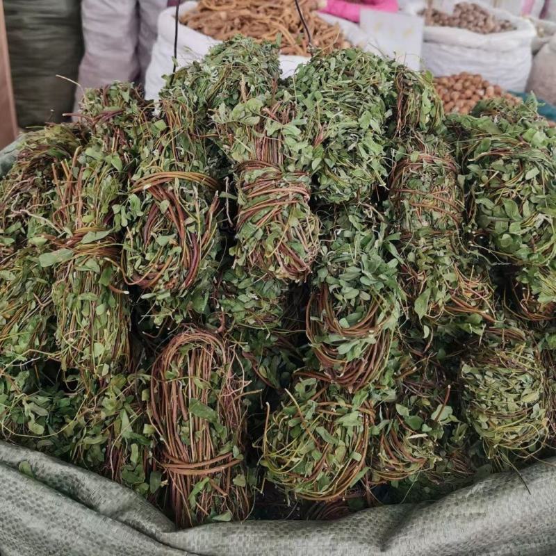 广西鸡骨草野生鸡骨草叶干货中草药中药材泡茶煲汤料新鲜无硫