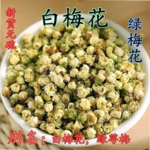 散结节茶白梅花玫瑰花新货无硫绿萼梅花白梅花玫瑰花天然养