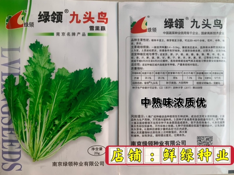 绿领九头鸟雪里蕻芥菜种子中熟味浓质优