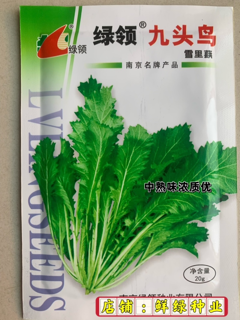 绿领九头鸟雪里蕻芥菜种子中熟味浓质优