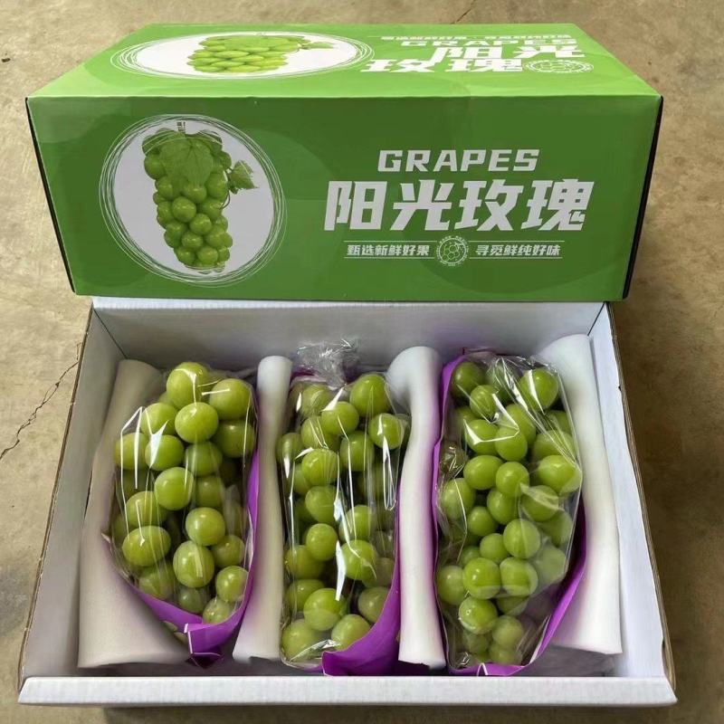 云南阳光玫瑰