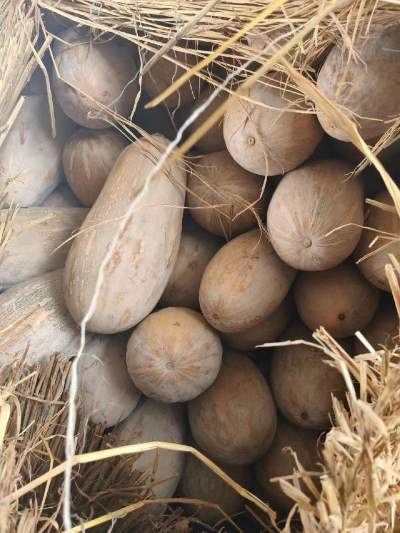 云南精品南瓜大量有货，基地实拍看上的老板速联系！