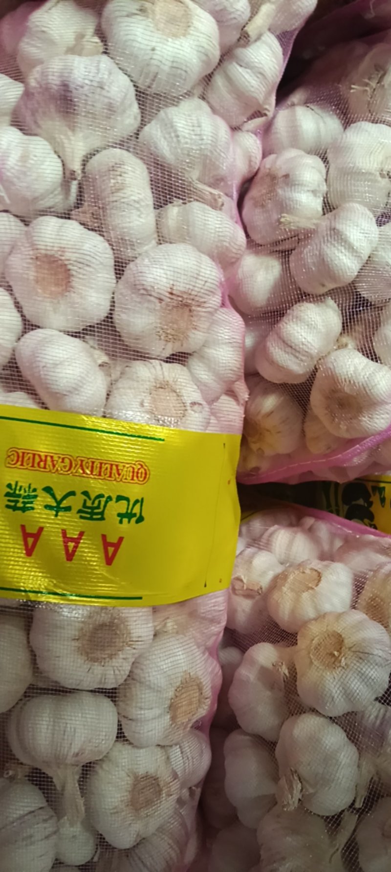邳州大蒜