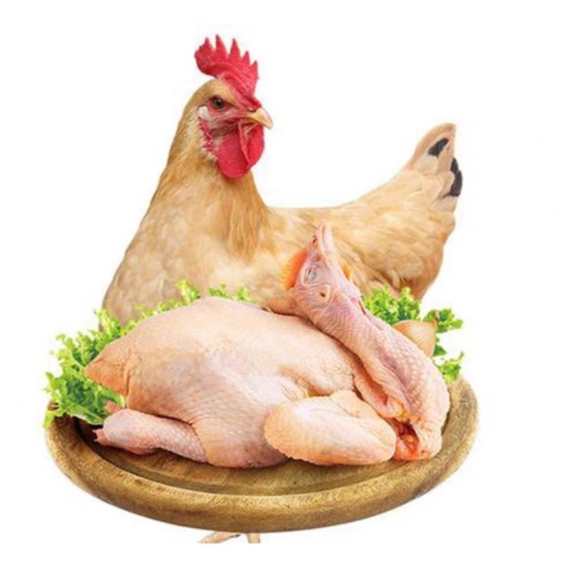 白条鸡，2.正宗散养鸡鸭，谷物喂养，皮黄肉香，冰鲜发货