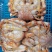 生冻帝王蟹