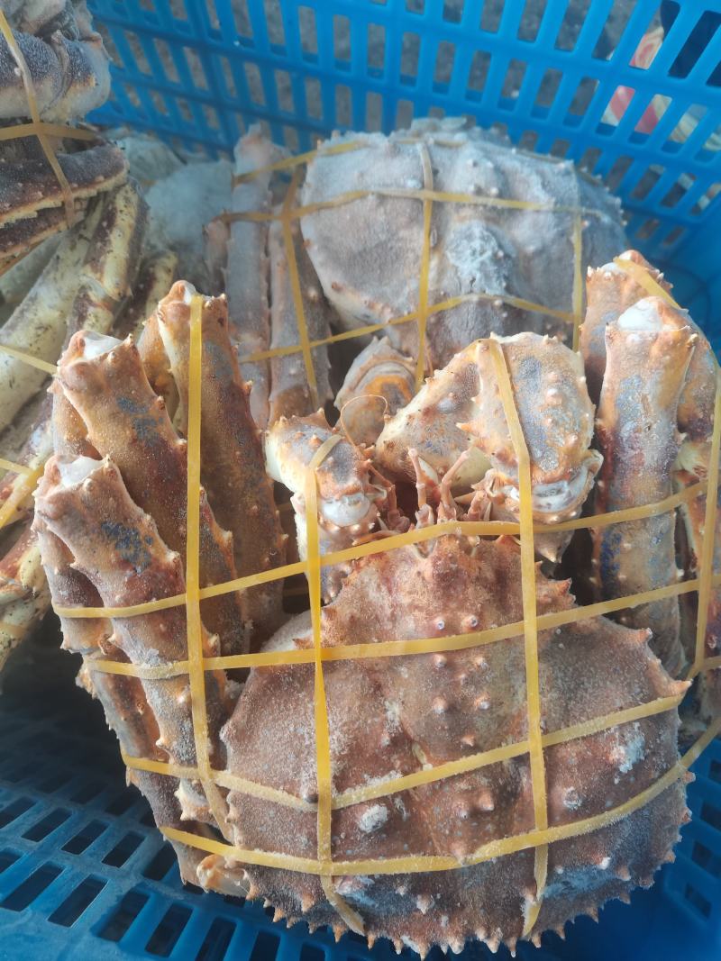 生冻帝王蟹