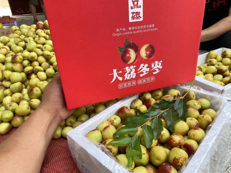 大荔冬枣产地直发实力供应均可落地配一件代发欢迎对接合作