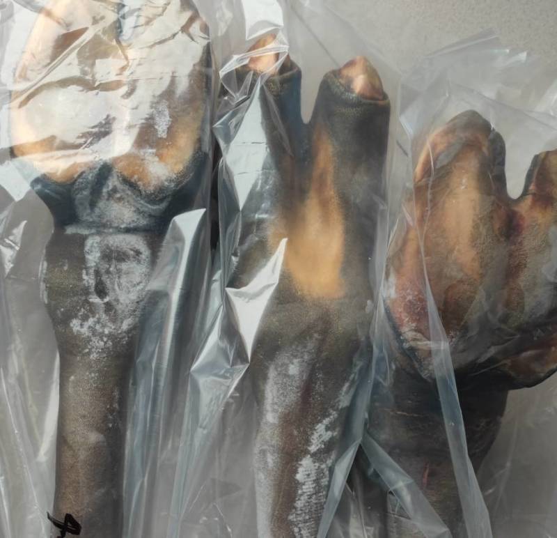 去毛带皮骆驼蹄包邮整只/4至6斤去皮去棒骨驼掌3斤
