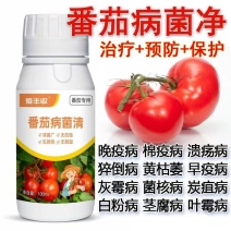 番茄病菌净番茄专用晚疫病棉疫病溃疡病猝倒病黄枯萎早疫