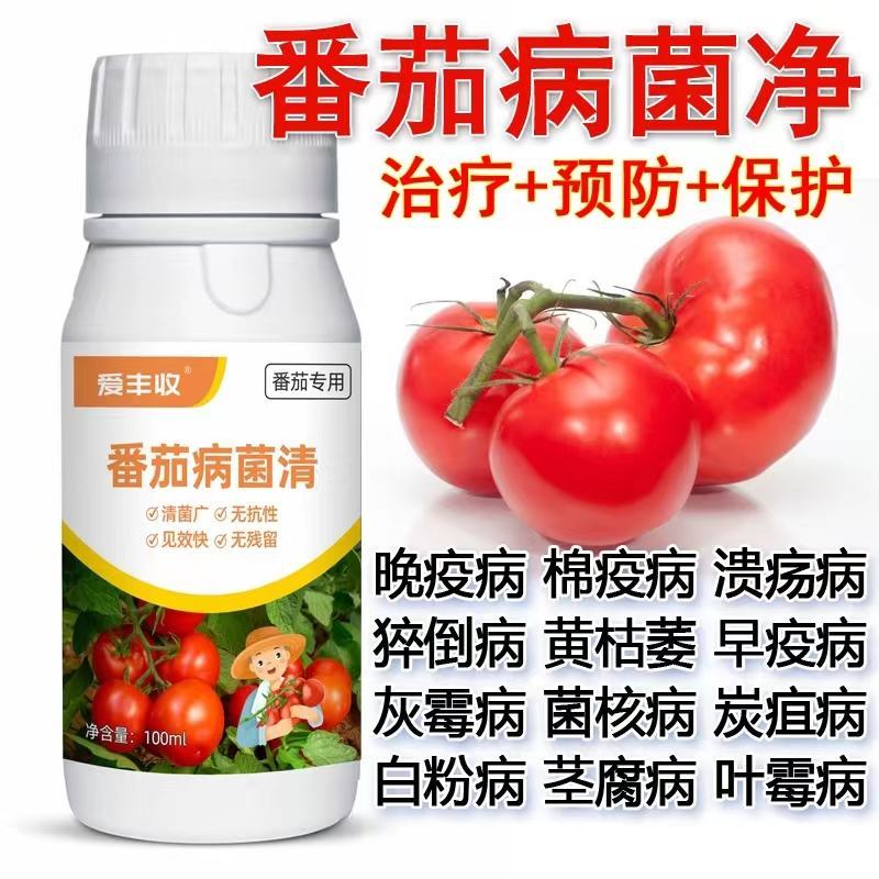 番茄病菌净番茄专用晚疫病棉疫病溃疡病猝倒病黄枯萎早疫