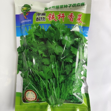 耐热香菜种子耐热耐干旱晚抽苔香味浓产量高500克