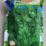 耐热香菜种子耐热耐干旱晚抽苔香味浓产量高500克
