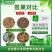 奥丰枯草芽孢杆菌生根壮苗改良土壤抗重茬防病蔬菜中药材菌肥