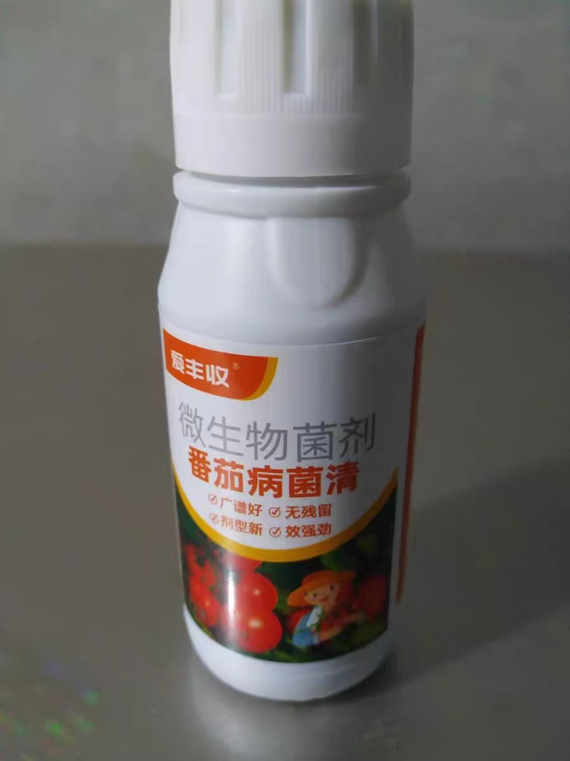 番茄病菌净番茄专用晚疫病棉疫病溃疡病猝倒病黄枯萎早疫